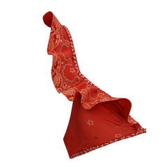 Zimmermann Lucky Frill Badeanzug