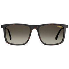 Carrera Brown Injected Sonnenbrille
