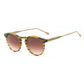 Belstaff Brown Titanium Sunglasses