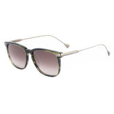 Belstaff Brown Titanium Sunglasses