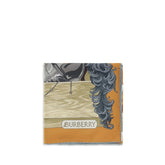 Burberry Multicolor Silk Scarf - Scarves & Shawls