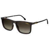 Carrera Brown Injected Sunglasses - Sunglasses