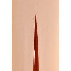 Di Stavnitser Multicolor Viscose Casual Pants