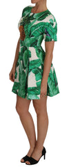 Dolce & Gabbana A-Line Banana Leaf Pineapple Crystal Dress - Dresses