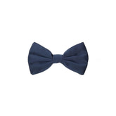 Dolce & Gabbana Blue Silk Bowtie