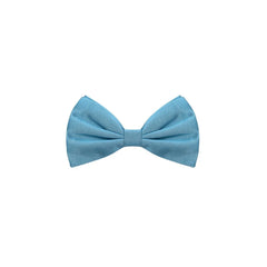 Dolce & Gabbana Blue Silk Bowty - One Size - Neckties
