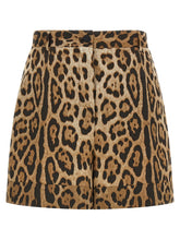 Dolce & Gabbana Brown Cotton Bermuda Shorts - IT40