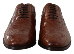 Dolce & Gabbana Brown Crocodile Leather Mens Formal Derby Shoes - EU44/US11