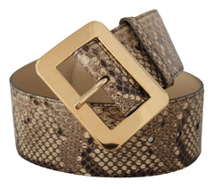 Dolce & Gabbana Brown Exotic Wide Waist Leather Gold Metal Buckle Belt - 65 cm / 26 Inches - Belts