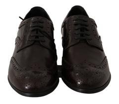 Dolce & Gabbana Brown Leather Broques Oxford Wingtip Shoes - Flats