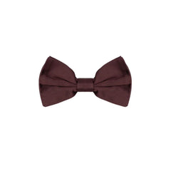 Dolce & Gabbana Burgundy Silk Bowty - One Size - Neckties