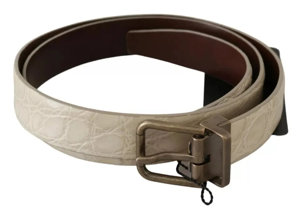 Dolce & Gabbana Cream Beige Gold Buckle Waist Leather Belt - Belts