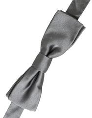 Dolce & Gabbana Gray Satin Silk Adjustable Neck Men Papillon Bow Tie - Neckties
