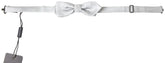 Dolce & Gabbana Gray Silk Adjustable Men Neck Papillon Bow Tie - Neckties