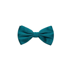 Dolce & Gabbana Green Silk Bowty - One Size - Neckties