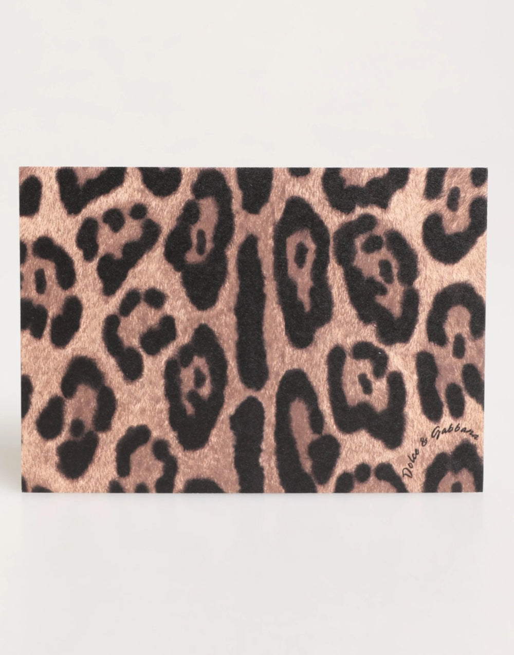 Dolce & Gabbana Multicolor Leopard Print Envelope Paper Post Card Holder - Desktop Organizers