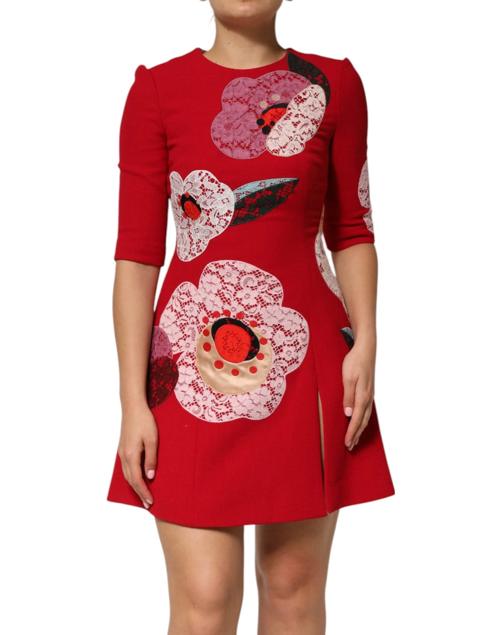 Dolce & Gabbana Red Lace Floral Applique A-line Mini Dress - Dresses