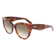 Ferragamo Brown Acetate Sunglasses - Sunglasses