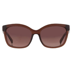 Guess Brown Resin Sunglasses - Sunglasses