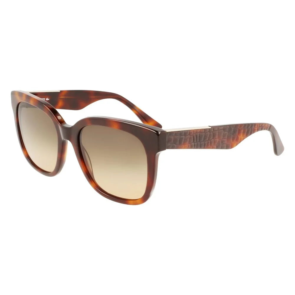 Lacoste Brown Acetate Sunglasses - Sunglasses