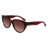 Lacoste Brown Acetate Sunglasses - Sunglasses