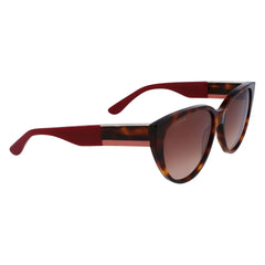 Lacoste Brown Acetate Sunglasses - Sunglasses