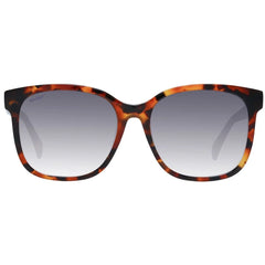 Max Mara Brown Acetate Sunglasses