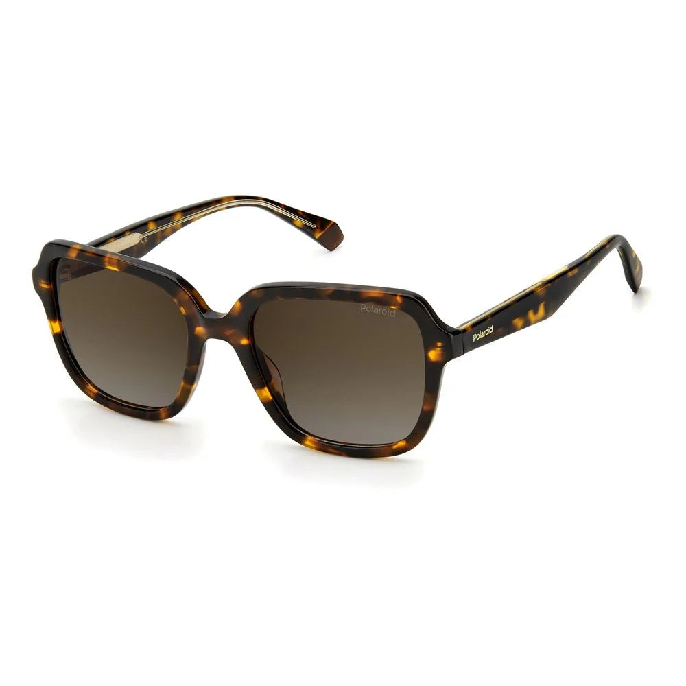 Polaroid Brown Acetate Sunglasses - Sunglasses