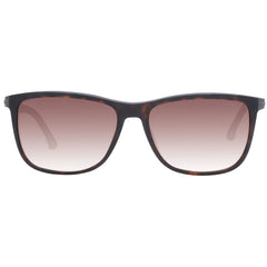 Police Brown Men Sunglass - Sunglasses