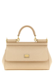Dolce & Gabbana Multicolor Calfskin Handbag