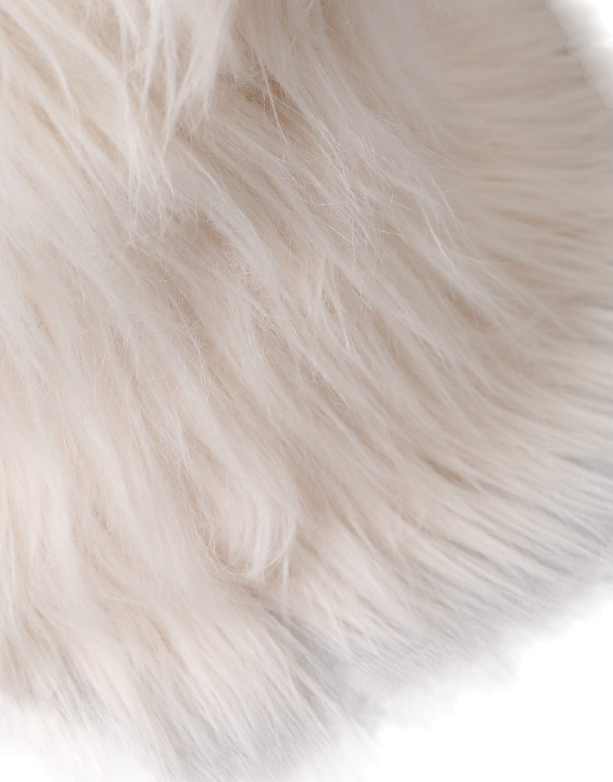 Bob Dolce &amp; Gabbana en acrylique blanc et fourrure pour femme