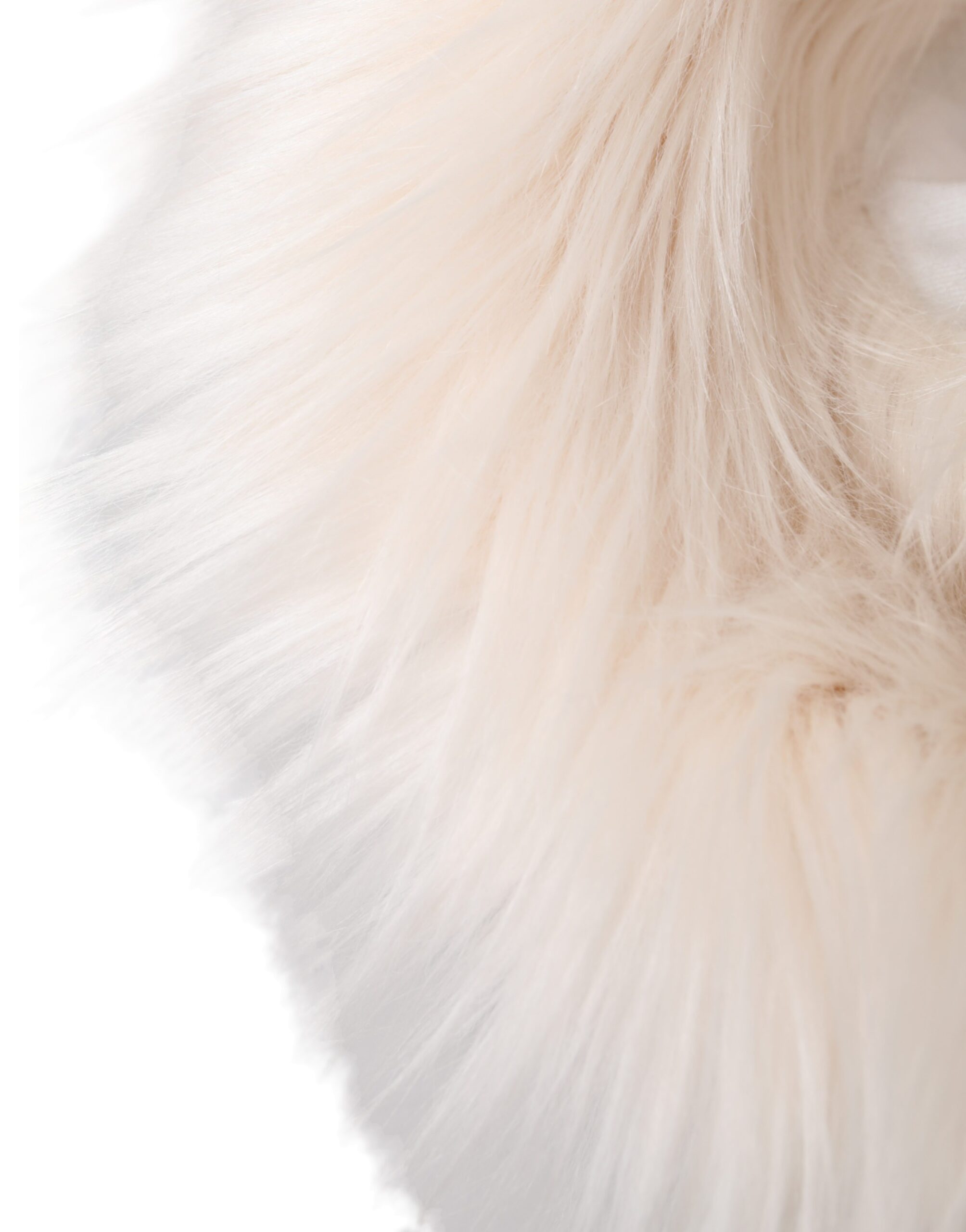 Bob Dolce &amp; Gabbana en acrylique blanc et fourrure pour femme