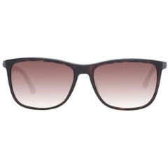 Police Brown Men Sunglass