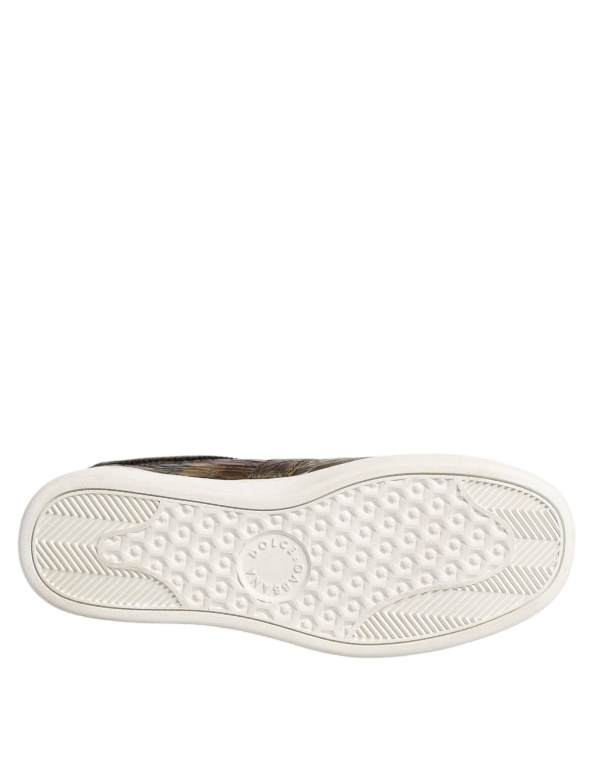 Baskets basses Dolce &amp; Gabbana en cuir exotique marron
