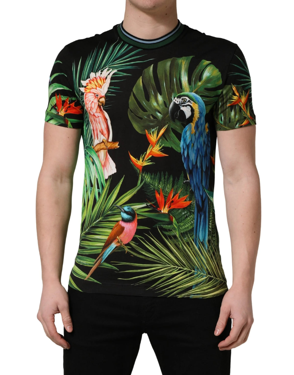 Dolce & Gabbana Black Bird Print Cotton Men Crew Neck T-shirt