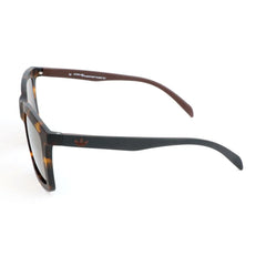 Adidas Brown Acetate Sunglasses - Sunglasses