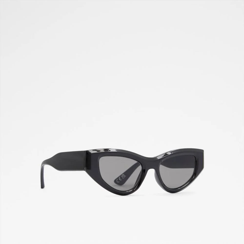 ALDO Black Polycarbonate Sunglasses
