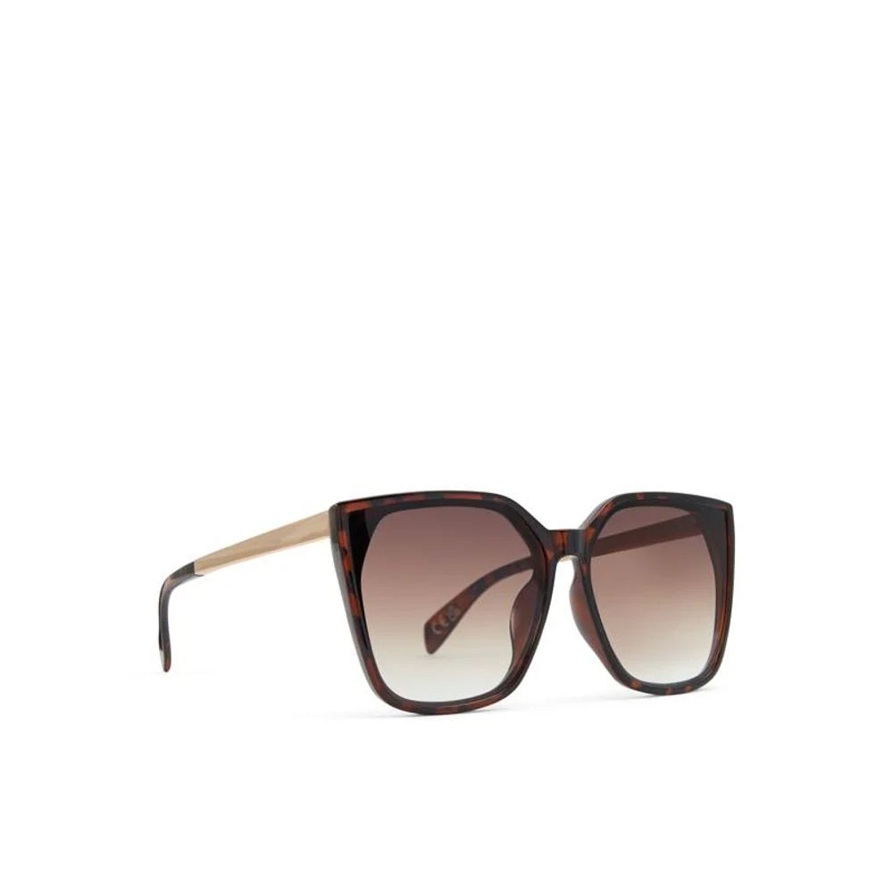 ALDO Brown Polycarbonate Sunglasses