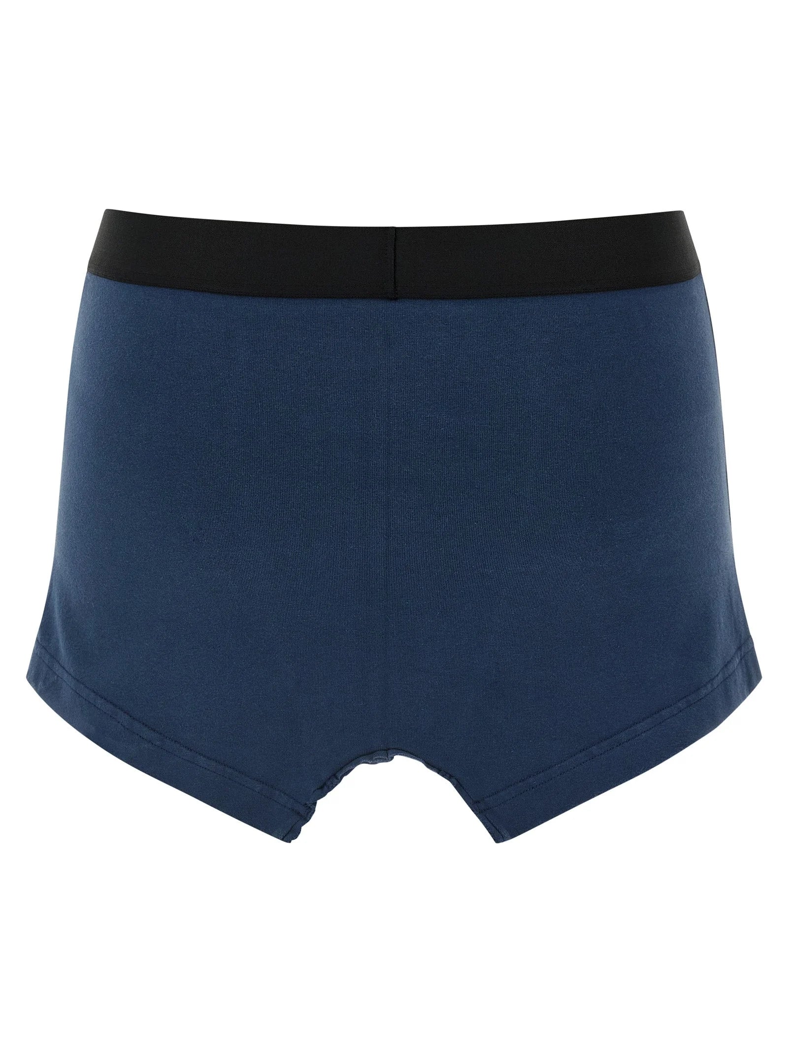Balenciaga Blue Cotton Long Skirt - S