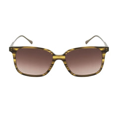 Belstaff Brown Titanium Sunglasses