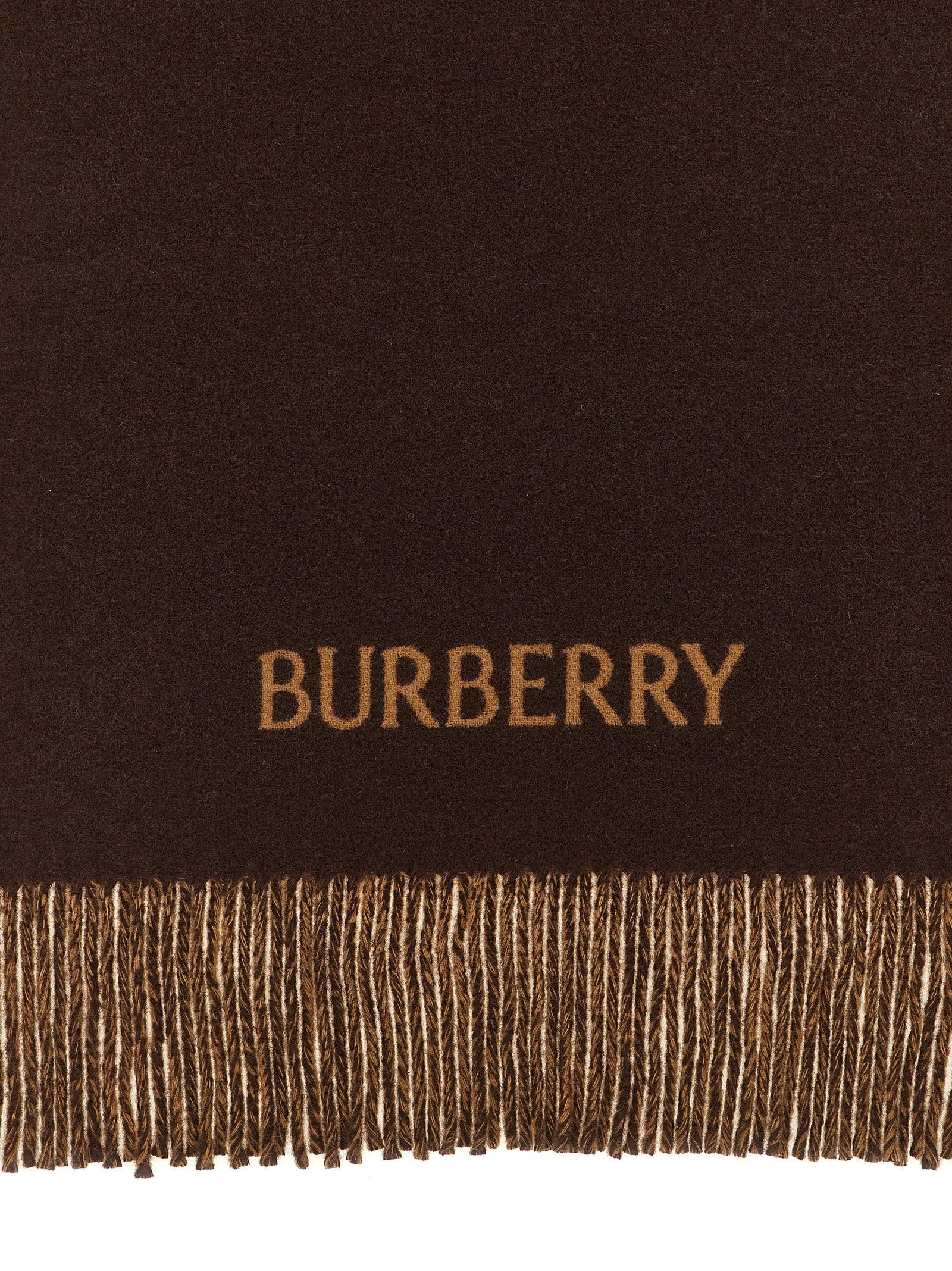 Burberry Multicolor Cashmere Scarf