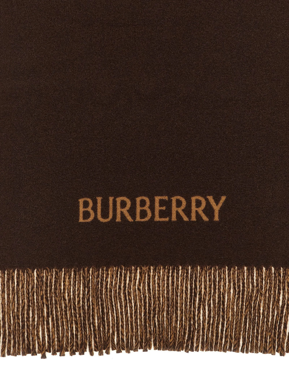 Burberry Multicolor Cashmere Scarf