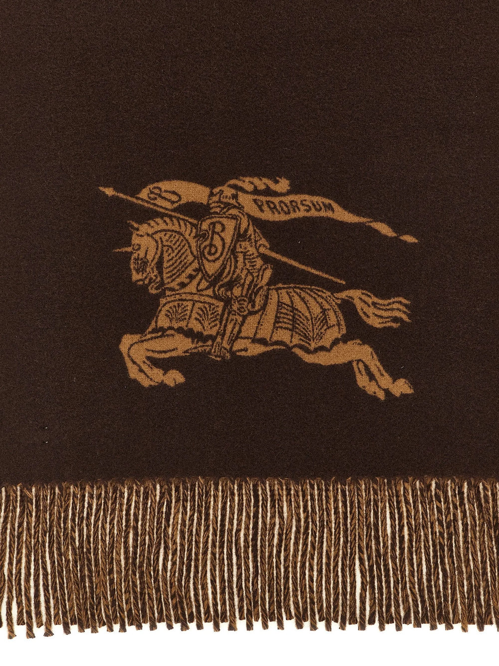 Burberry Multicolor Cashmere Scarf