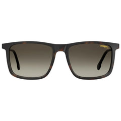 Carrera Brown Injected Sunglasses - Sunglasses