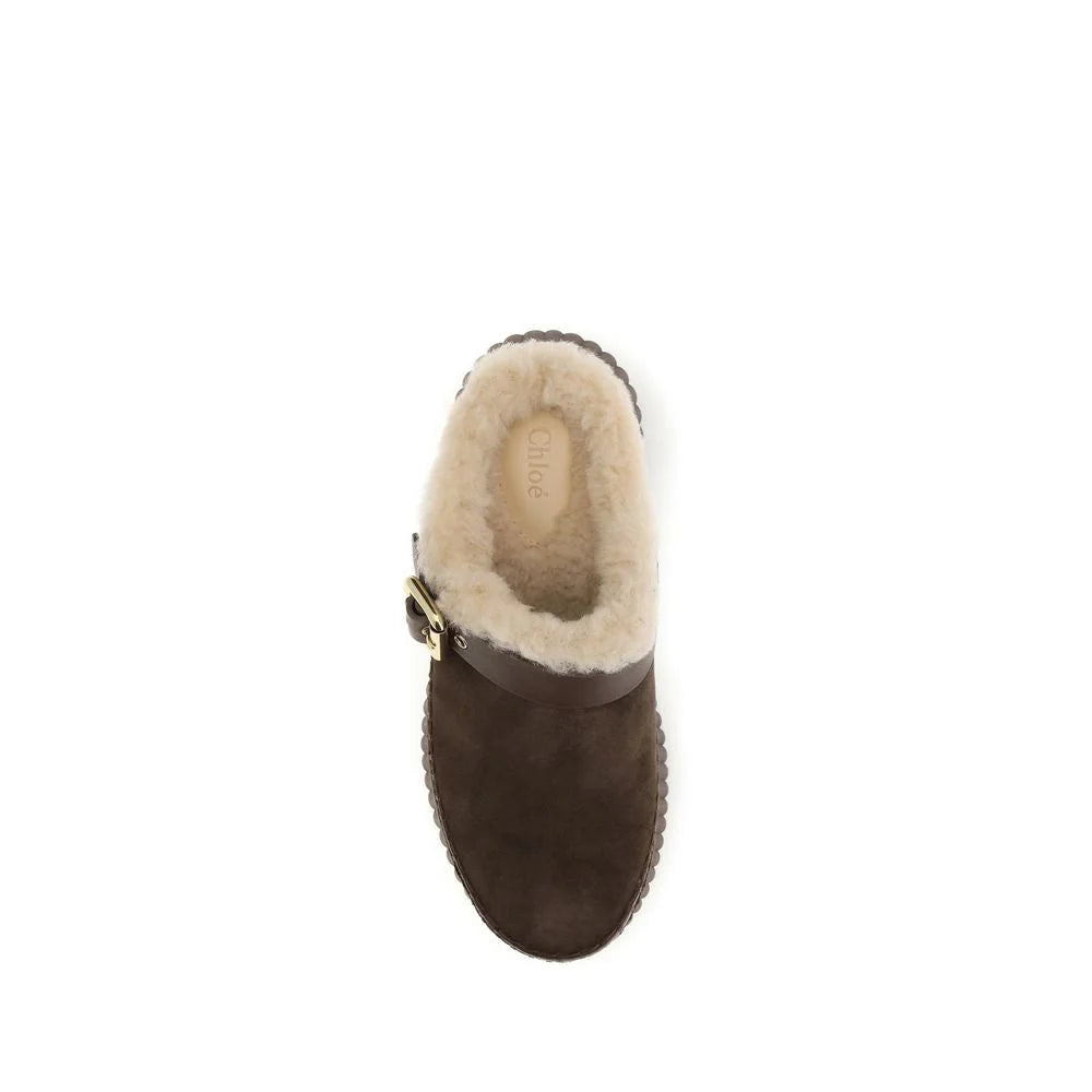 Chloé Brown Calf Leather Bos Taurus Mules
