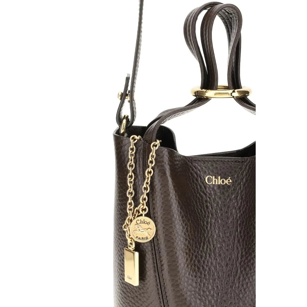 Chloé Brown Calf Leather Bos Taurus Shoulder Bag