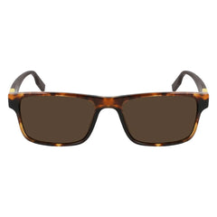 Converse Brown Acetate Sunglasses - Sunglasses