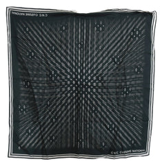 Costume National Blue Foulard Silk Women Scarf - Scarves & Shawls