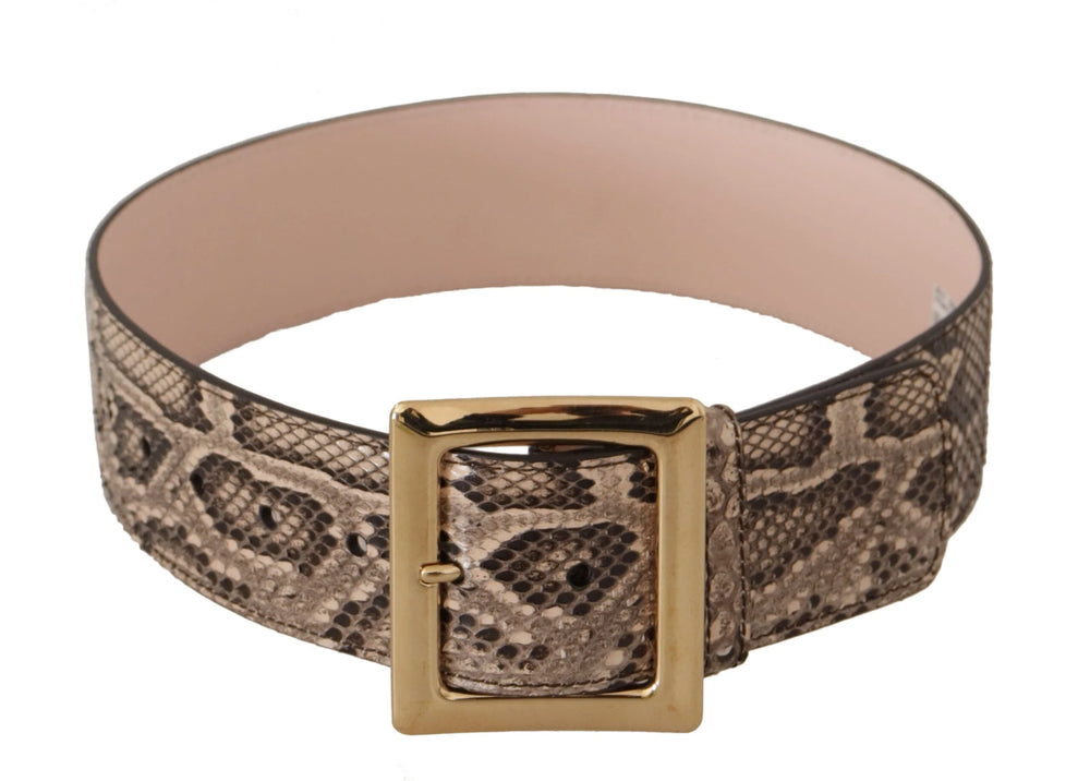 Dolce & Gabbana Beige Exotic Leather Wide Gold Metal Buckle Belt - 65 cm / 26 Inches - Belts