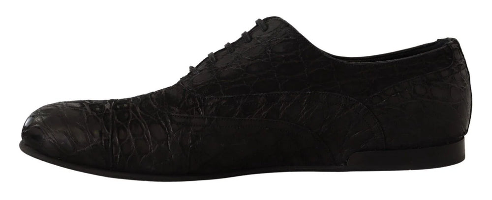 Dolce & Gabbana Black Caiman Leather Mens Oxford Shoes - EU44/US11